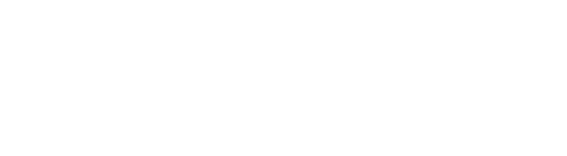 pronit_spa_logo